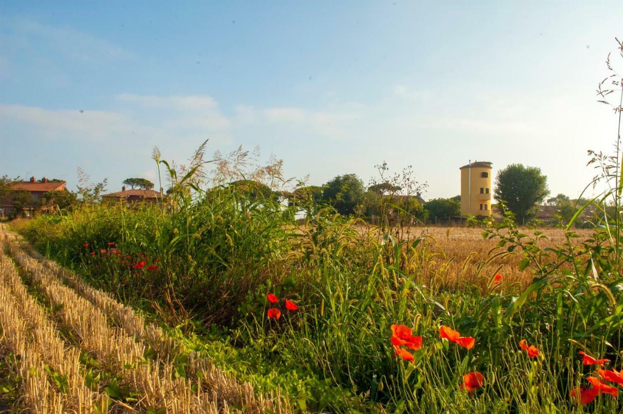 מקרזה Il Silos מראה חיצוני תמונה