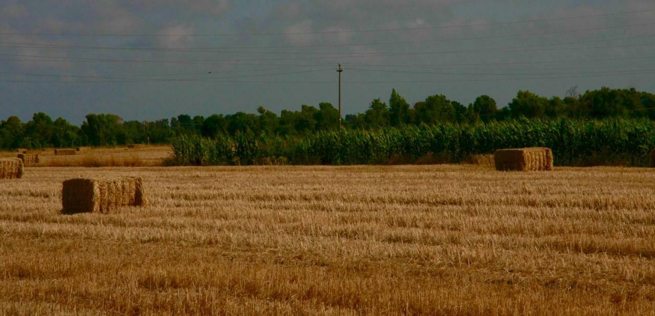 מקרזה Il Silos מראה חיצוני תמונה